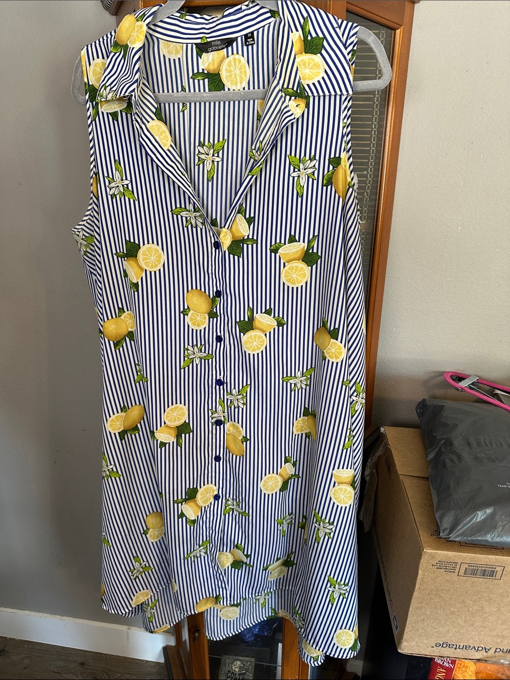 Mlle Gabrielle Blue and White Striped Sleeveless Dress with Yellow Lemon Print